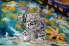 Scottish Wildcat